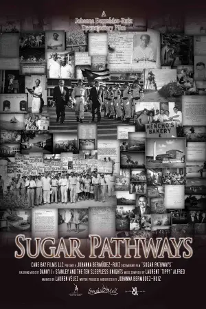Sugar Pathways (2010) White T-Shirt - idPoster.com