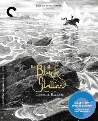 The Black Stallion (1979) Computer MousePad picture 369577