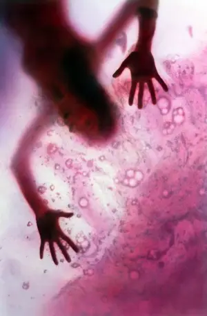 The Blob (1988) Wall Poster picture 387568