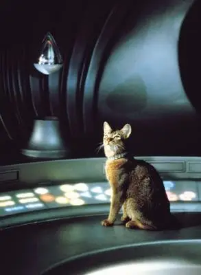 The Cat from Outer Space (1978) Image Jpg picture 382597