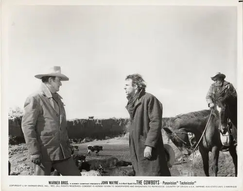 The Cowboys (1972) Wall Poster picture 825917