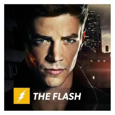 The Flash (2014) Fridge Magnet picture 316642