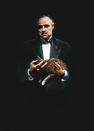 The Godfather (1972) Fridge Magnet picture 415682