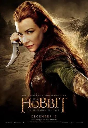 The Hobbit The Desolation of Smaug (2013) Jigsaw Puzzle picture 472666