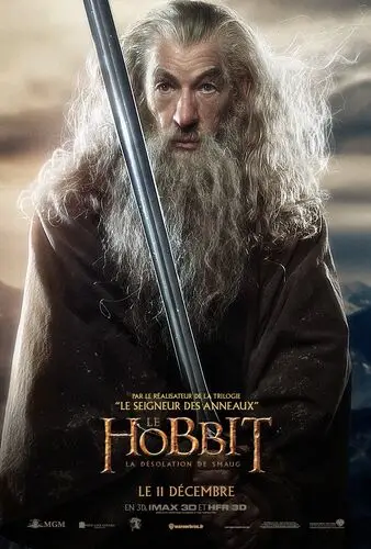 The Hobbit The Desolation of Smaug (2013) Wall Poster picture 472670