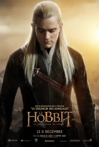 The Hobbit The Desolation of Smaug (2013) Wall Poster picture 472671