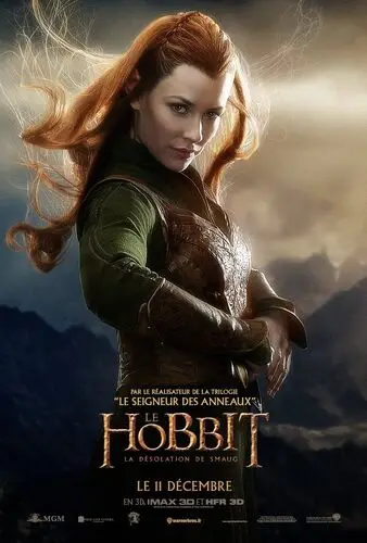 The Hobbit The Desolation of Smaug (2013) Wall Poster picture 472672