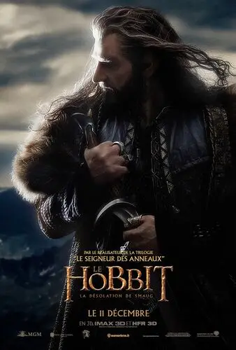 The Hobbit The Desolation of Smaug (2013) Wall Poster picture 472674