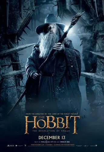 The Hobbit The Desolation of Smaug (2013) Image Jpg picture 472681