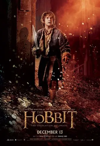 The Hobbit The Desolation of Smaug (2013) Men's Colored Hoodie - idPoster.com
