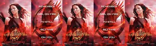 The Hunger Games Catching Fire (2013) Fridge Magnet picture 471674