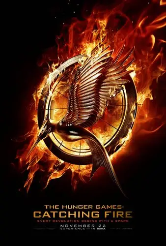 The Hunger Games Catching Fire (2013) Fridge Magnet picture 501745
