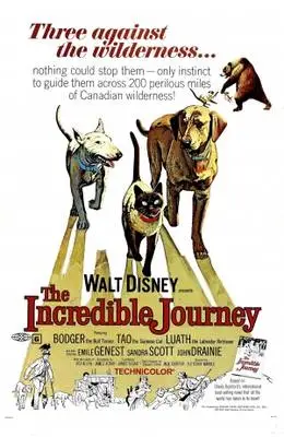 The Incredible Journey (1963) Protected Face mask - idPoster.com