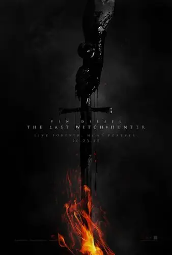 The Last Witch Hunter (2015) Wall Poster picture 465386