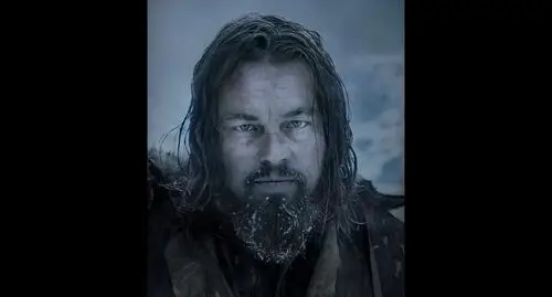 The Revenant (2015) Image Jpg picture 460869