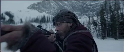 The Revenant (2015) Wall Poster picture 460878