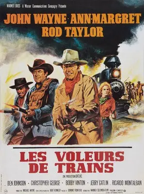 The Train Robbers (1973) Wall Poster picture 858578
