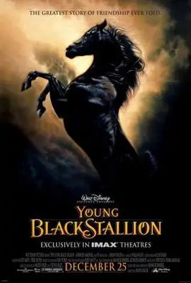 The Young Black Stallion (2003) Fridge Magnet picture 321781