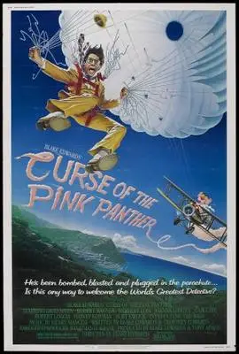 Trail of the Pink Panther (1982) Image Jpg picture 368781