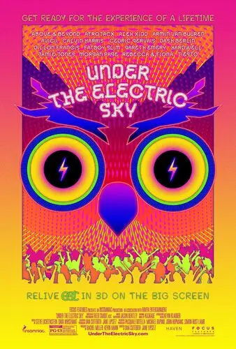 Under the Electric Sky (2014) Fridge Magnet picture 465721