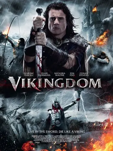 Vikingdom (2013) Image Jpg picture 472852