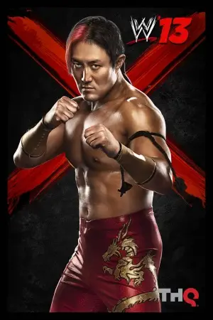 WWE '13 (2012) Protected Face mask - idPoster.com