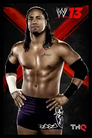 WWE '13 (2012) Kitchen Apron - idPoster.com