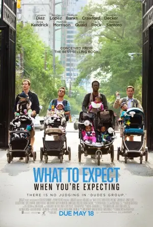 What to Expect When You're Expecting (2012) Jigsaw Puzzle picture 408864