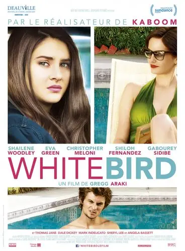 White Bird in a Blizzard (2014) Wall Poster picture 465834