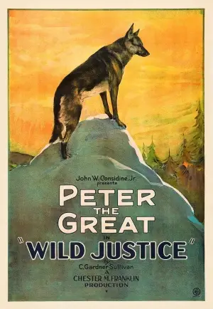Wild Justice (1925) White T-Shirt - idPoster.com