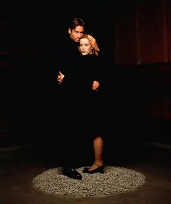 X-Files Wall Poster picture 223153