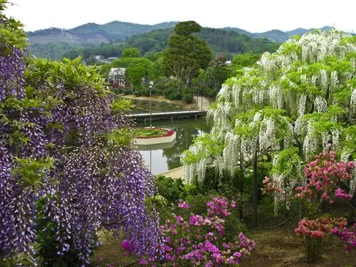 Botanical Gardens White T-Shirt - idPoster.com