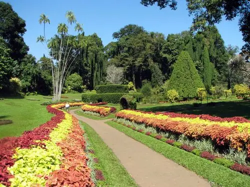 Botanical Gardens Jigsaw Puzzle picture 105515
