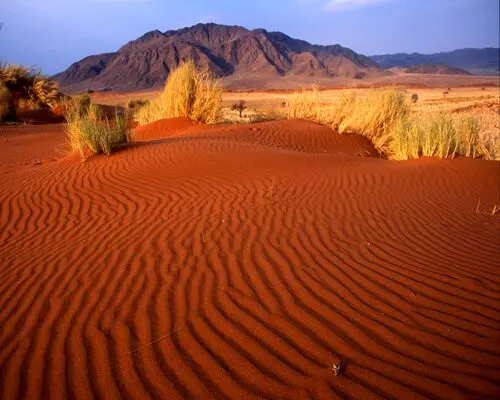 Desert Jigsaw Puzzle picture 104442