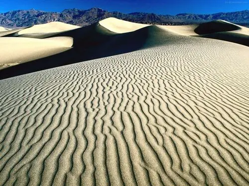 Desert Jigsaw Puzzle picture 104490