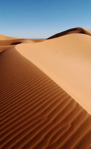 Desert Jigsaw Puzzle picture 104514