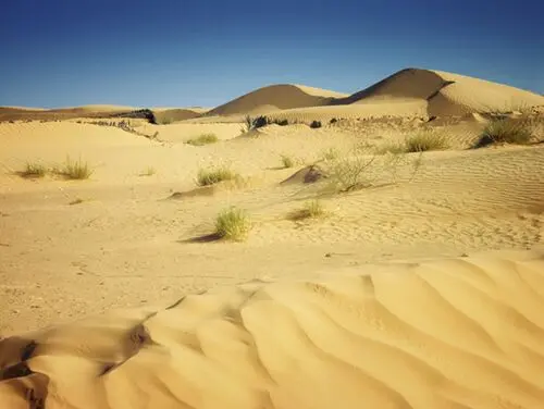 Desert Jigsaw Puzzle picture 104532
