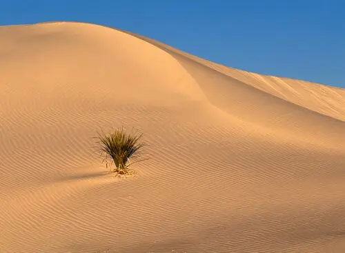 Desert Jigsaw Puzzle picture 104544