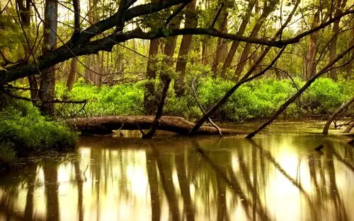 Rivers Jigsaw Puzzle picture 104317