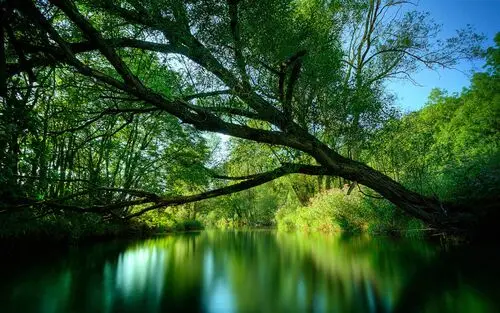 Rivers Jigsaw Puzzle picture 104322