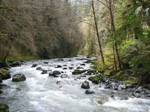 Rivers Jigsaw Puzzle picture 104338