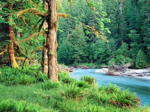Rivers Jigsaw Puzzle picture 104390