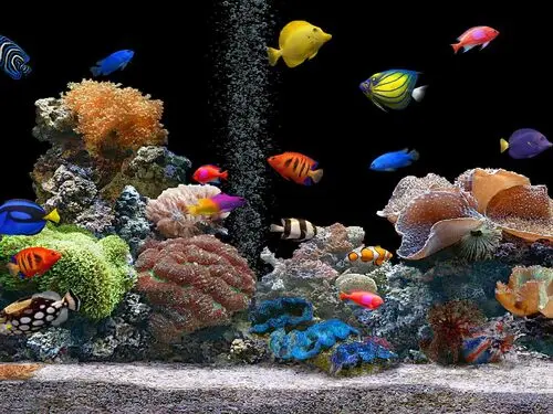 Underwater World Fridge Magnet picture 105660