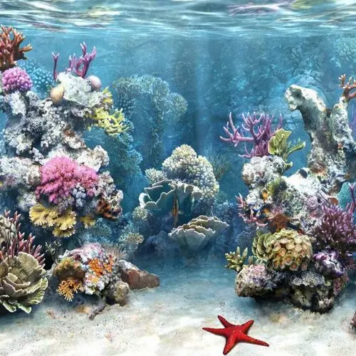 Underwater World Computer MousePad picture 105676
