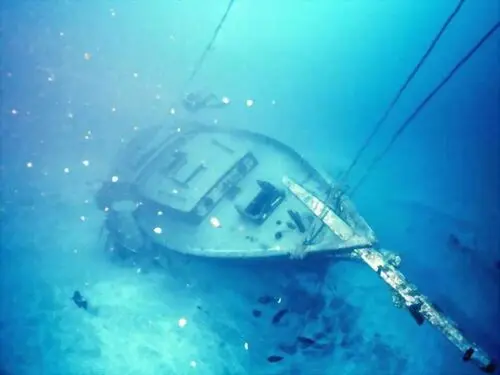Underwater World Women's Colored Tank-Top - idPoster.com