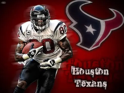Andre Johnson Jigsaw Puzzle picture 94395