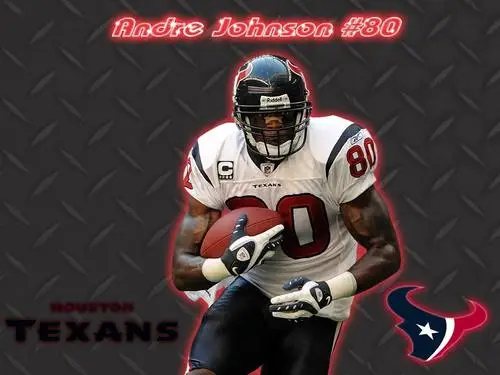 Andre Johnson Jigsaw Puzzle picture 94398