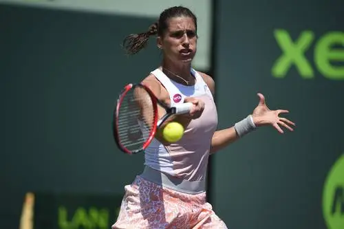 Andrea Petkovic Wall Poster picture 343496
