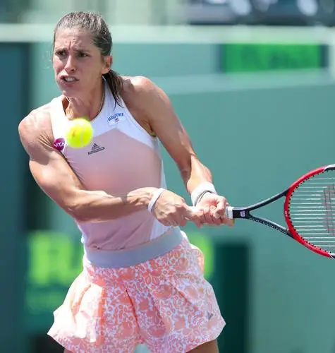 Andrea Petkovic Wall Poster picture 343501