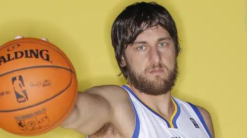 Andrew Bogut Wall Poster picture 715388